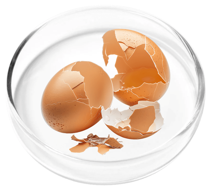 Pure Eggshell Collagen